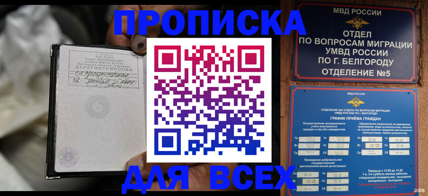 где прописаться в Вязьме